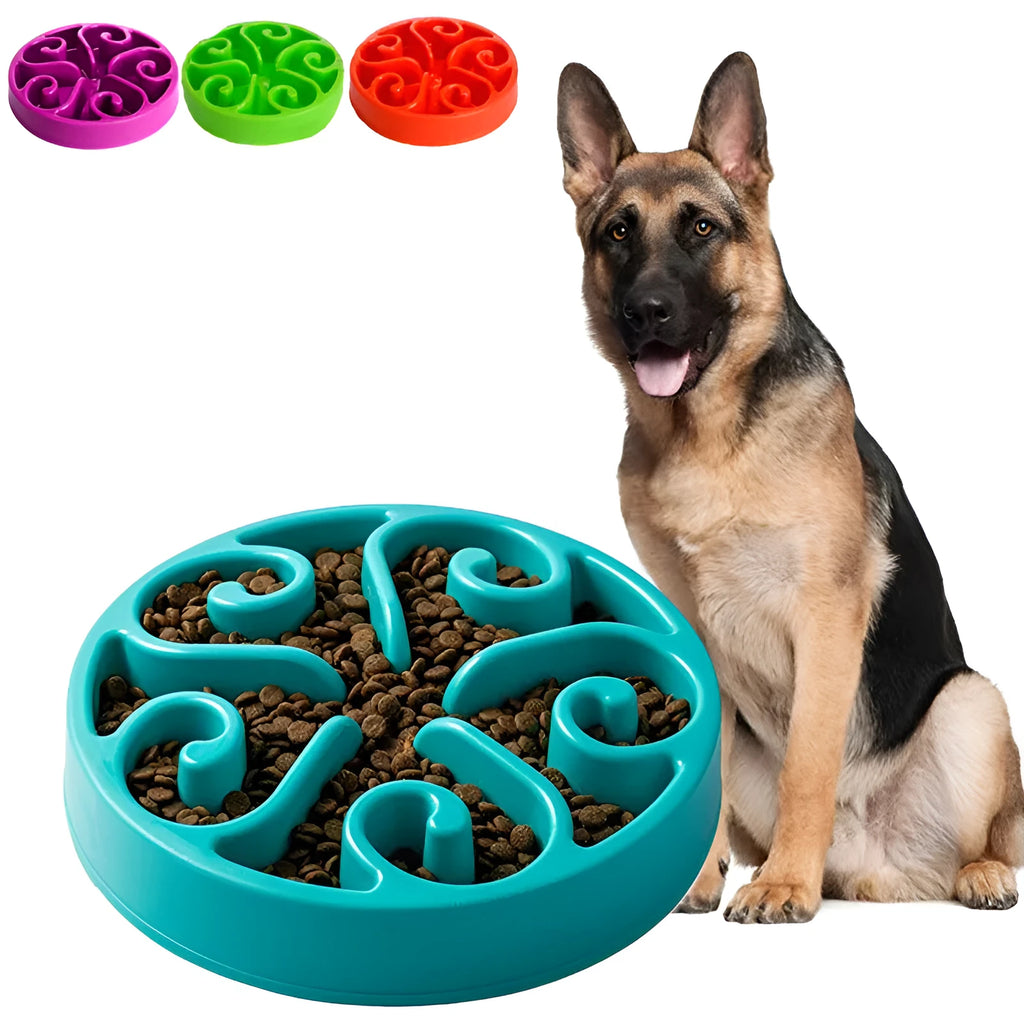 Dog slow feeder bowl with maze pattern design in multiple colour options