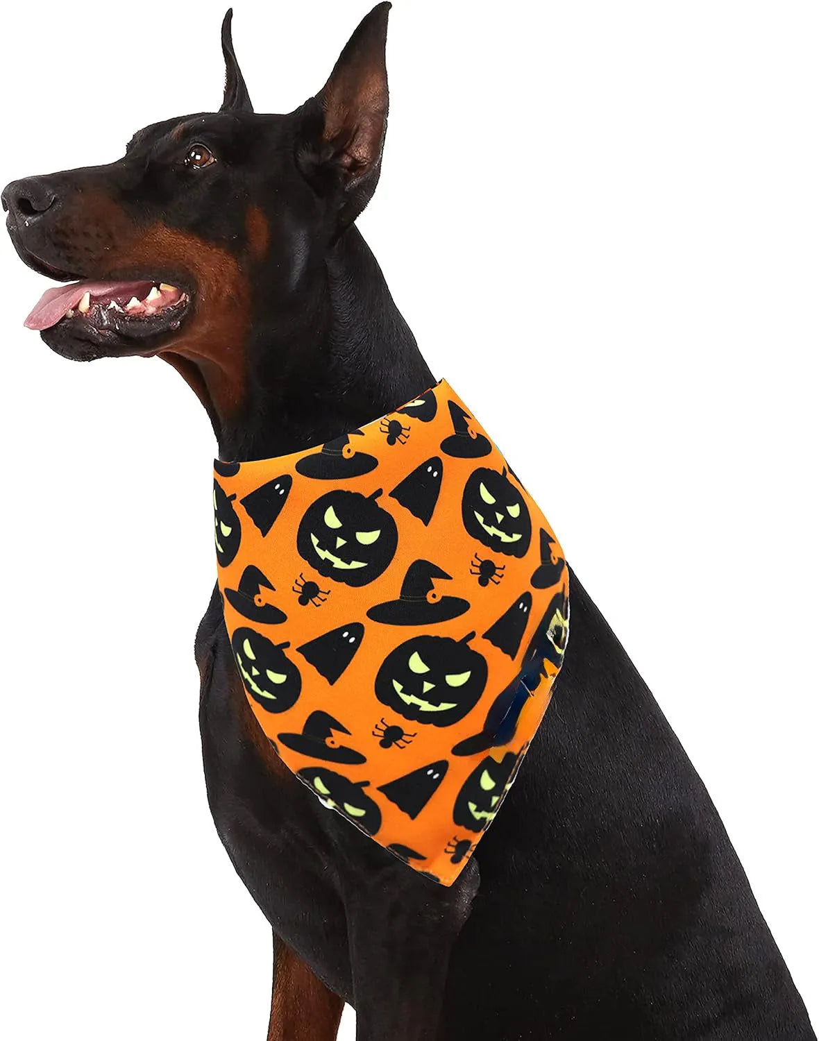 Black and orange reversible Halloween dog bandana with pumpkin and spider web patterns, shown on a dog's neck.