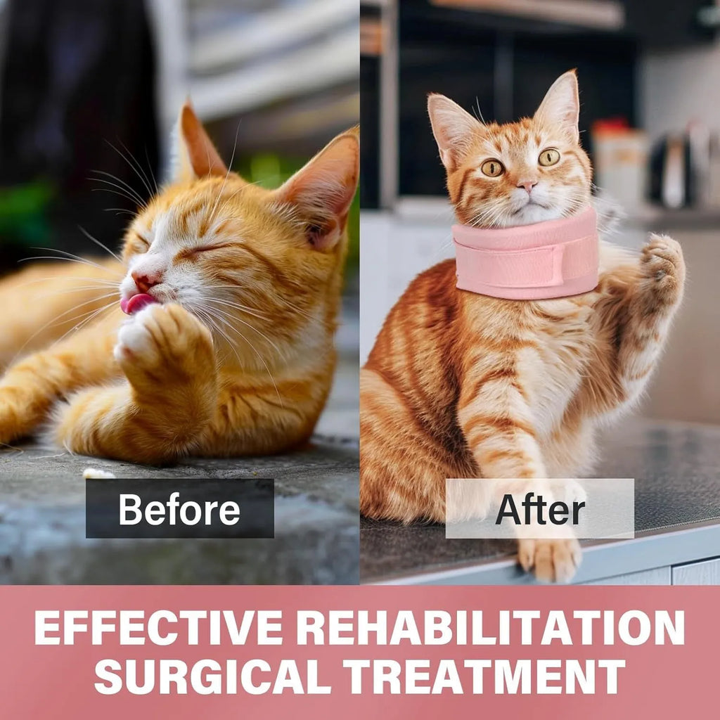 Soft grey cat cone collar for post-surgery recovery showing neck brace design