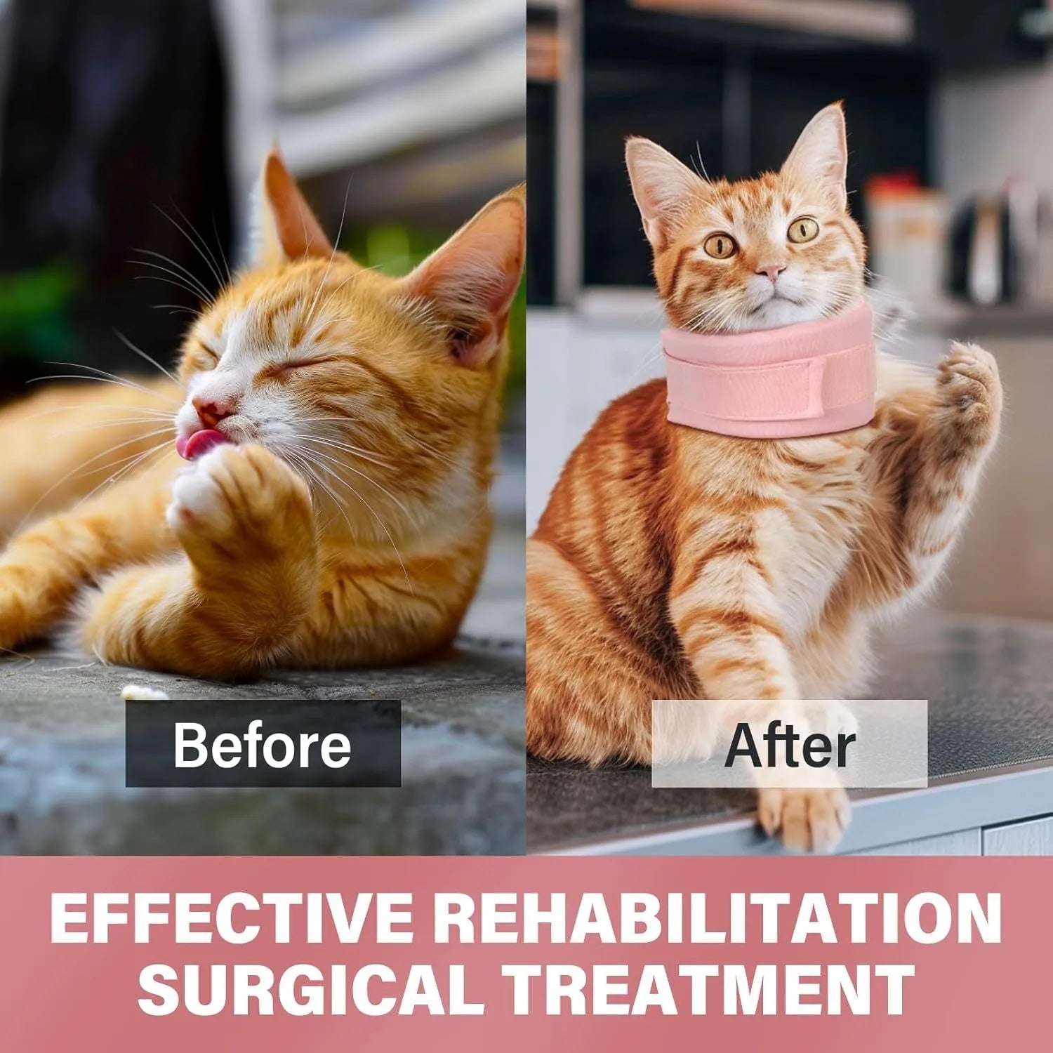 Soft grey cat cone collar for post-surgery recovery showing neck brace design