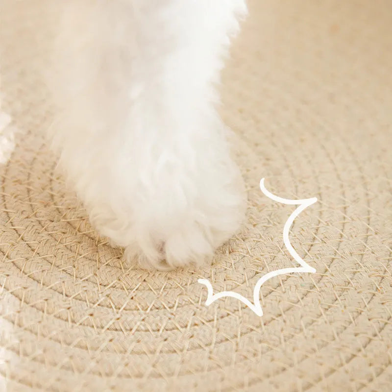 Green oval cat scratch pad bowl with sisal scratching surface measuring 65cm by 42cm