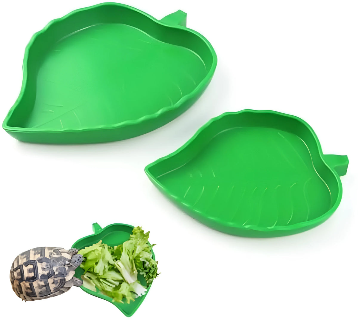Two leaf-shaped reptile food and water bowls in a set, for tortoise, lizard, bearded dragon or small snake.