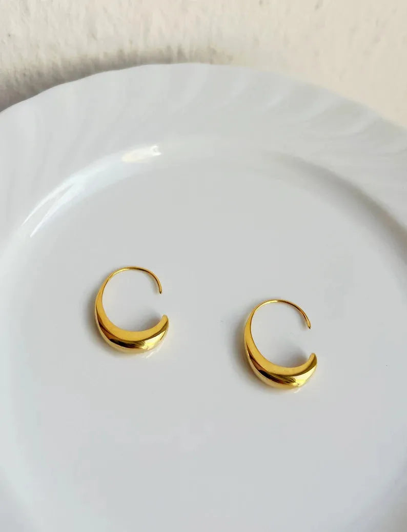 Women's snake design fashion earrings in gold or silver electroplated alloy