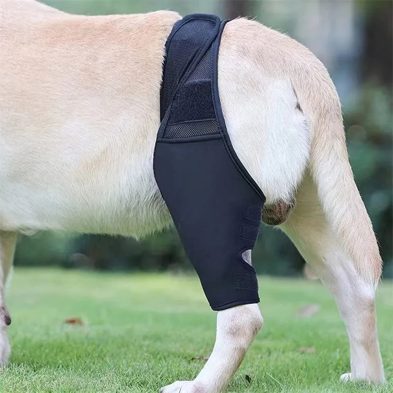 Dog leg support protector in diving cloth and mesh, adjustable Velcro strap, for front and rear legs, sizes XS to XL.