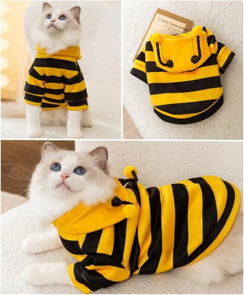 Yellow and black striped bee antenna hoodie for small dogs and cats with flexible antennae and back belt hook