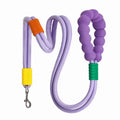 Nylon dog traction leash with foam handle showing black, light purple, sky blue and yellow colour options