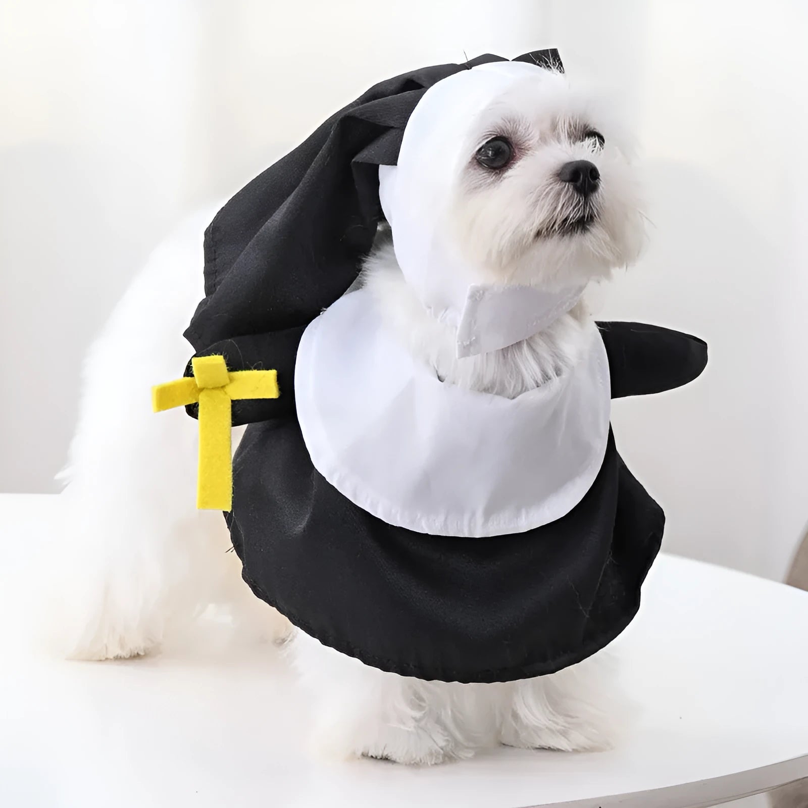 Black polyester nun costume for small pets with free size design for Halloween dressing