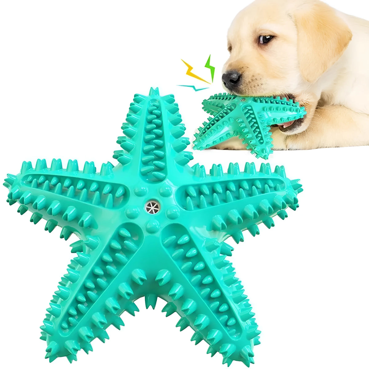 Blue edible TPR starfish-shaped dog toy with squeaker for large breeds