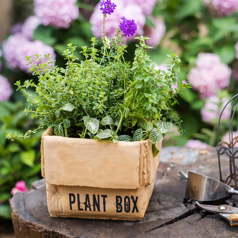 Cement brown paper box flowerpot with Nordic style design and bottom drainage holes for indoor planting