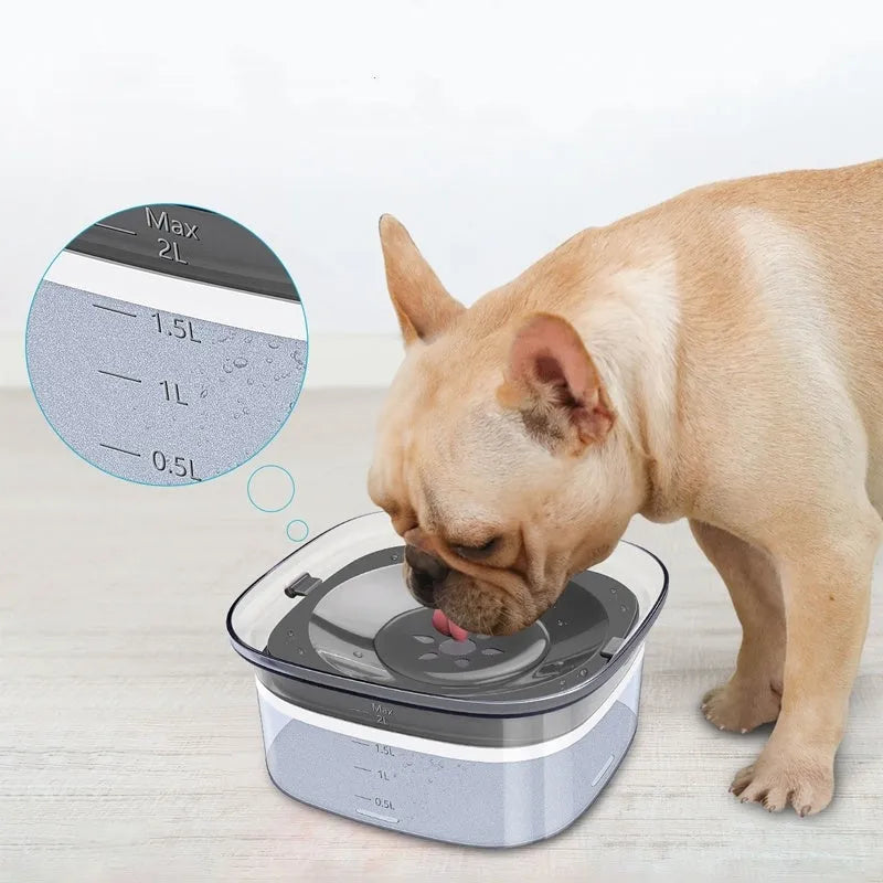Clear plastic dog water bowl showing water level, with a white floating disc inside on a non-slip base.