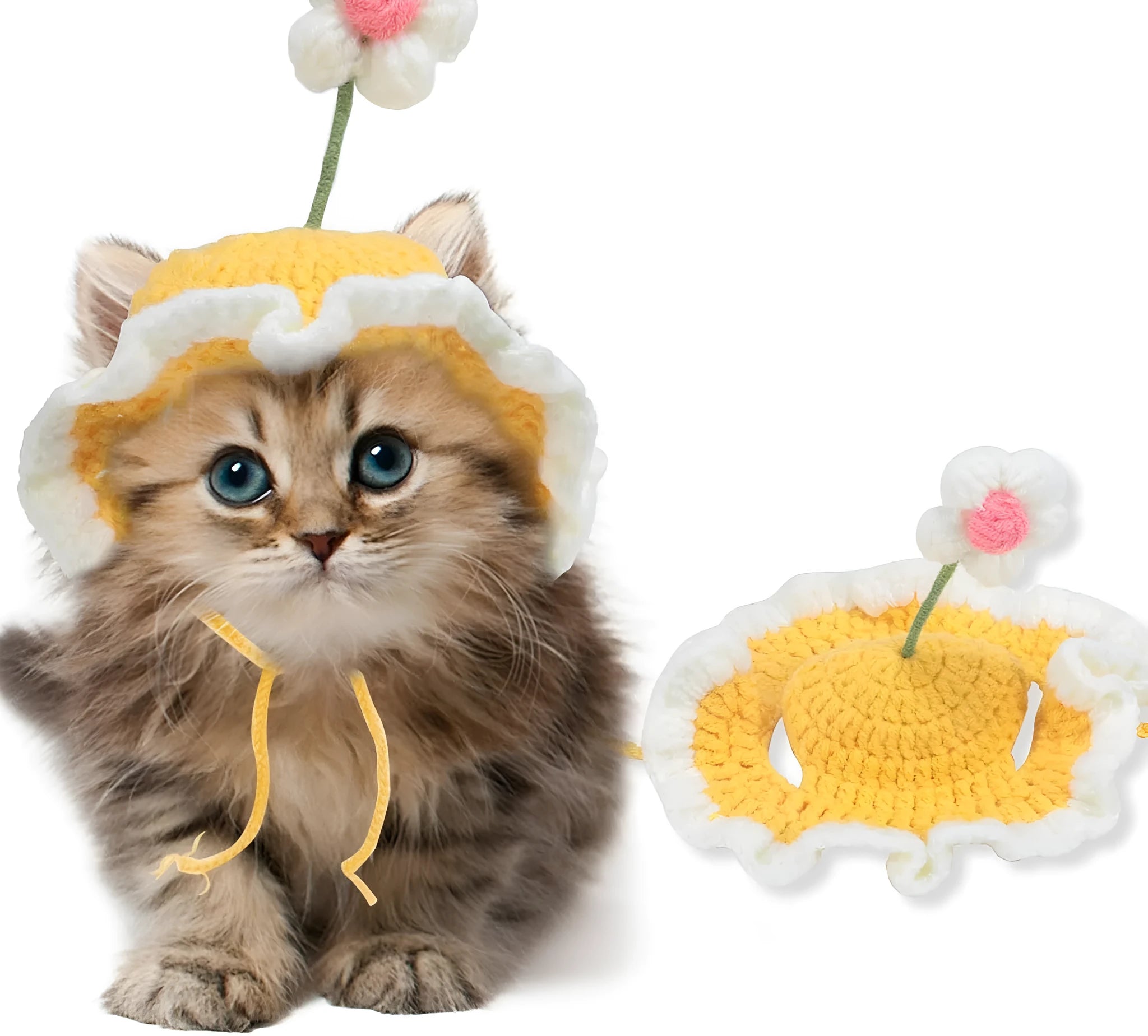 Green knitted cat hat with cartoon design on a small dog