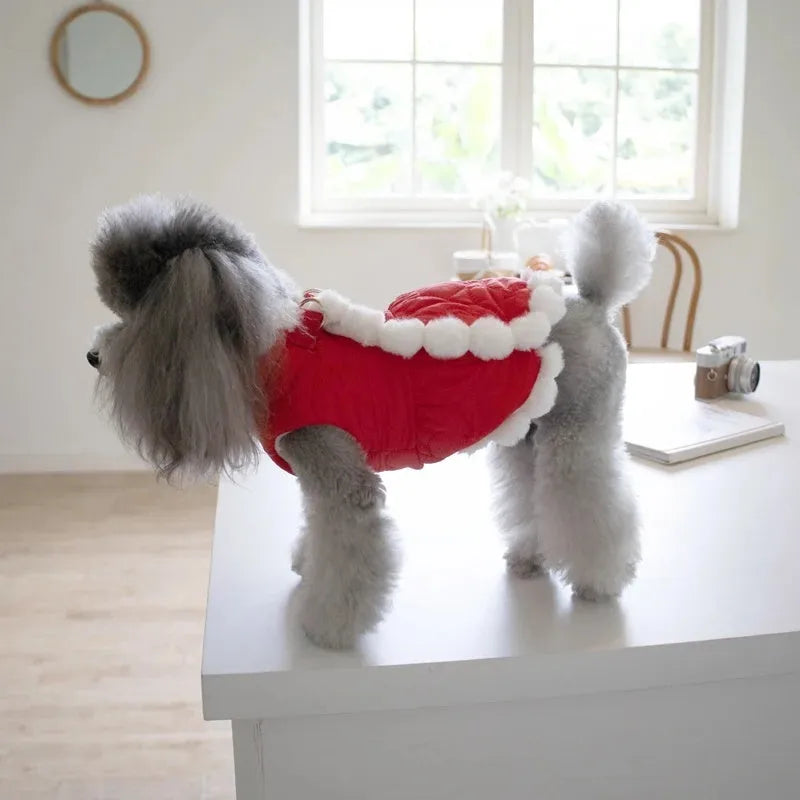 Red Chinese-style pet clothing with thick fur collar for dogs and cats in festive New Year outfit