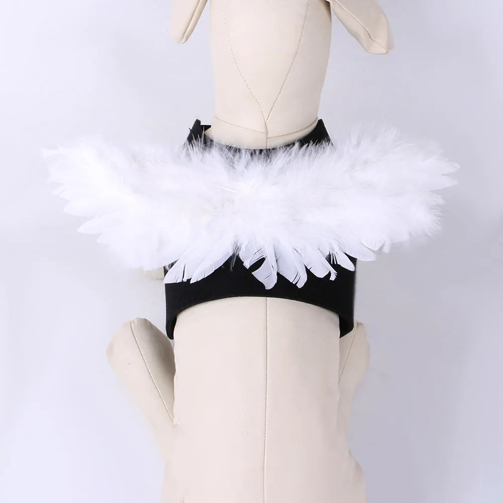 Black and white angel wings costume for dogs on chest and back, with adjustable straps.