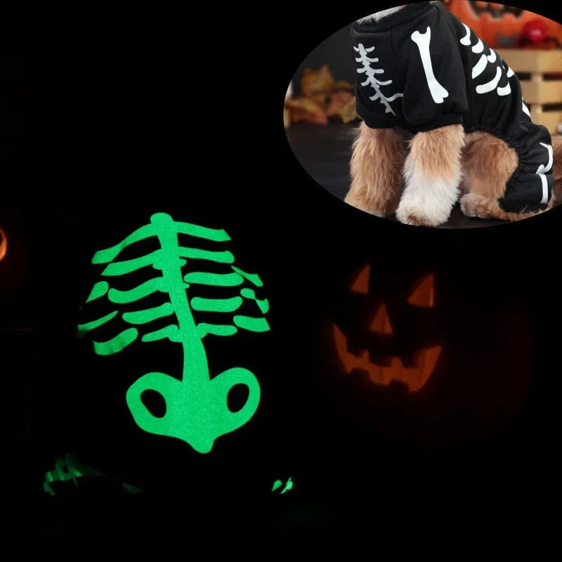 Halloween luminous skeleton costume for a dog, showing four-legged design.