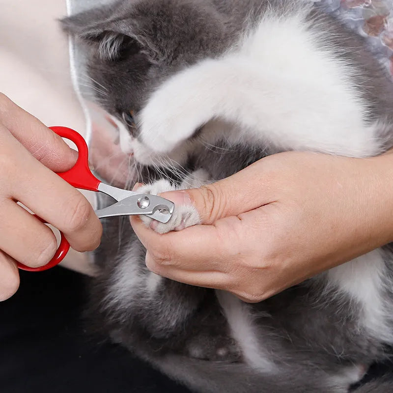 Professional stainless steel pet nail clippers with coloured plastic and rubber handle.