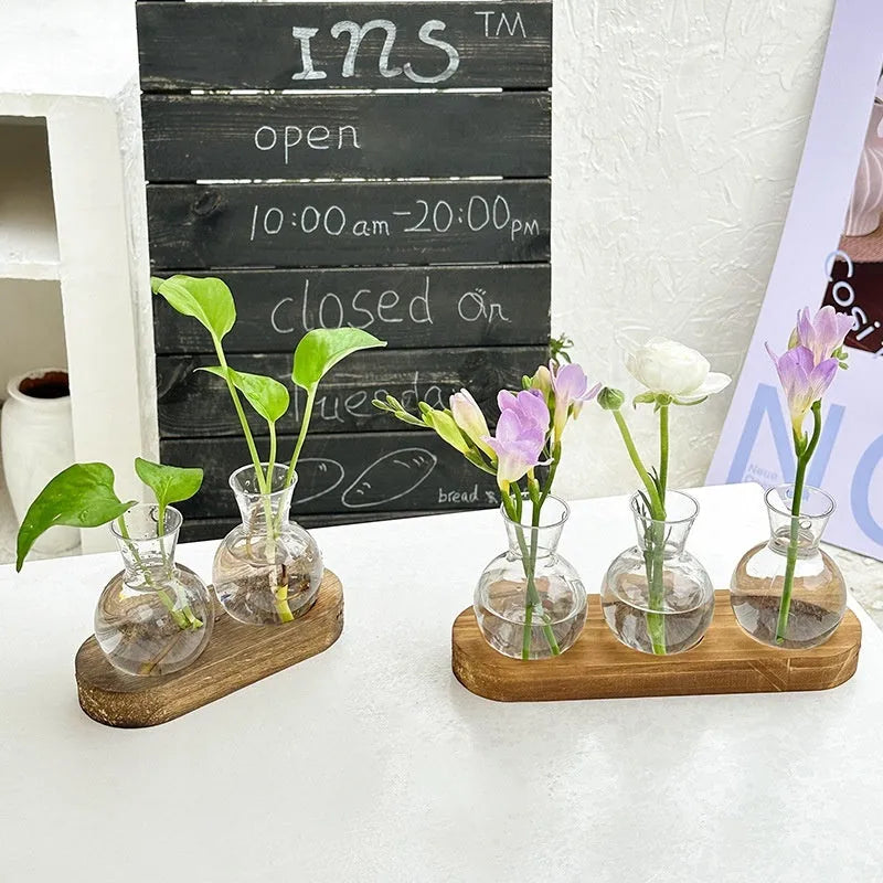 Wooden frame holding transparent PET hydroponic vases in wood colour, arranged neatly for plant display