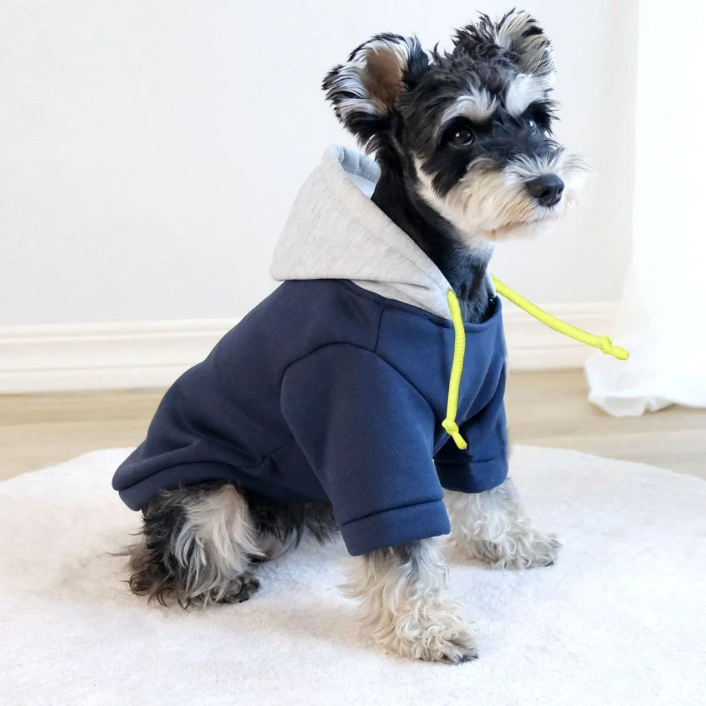 British-style pet hoodie pullover in dark red with contrast colour trim for dogs and cats