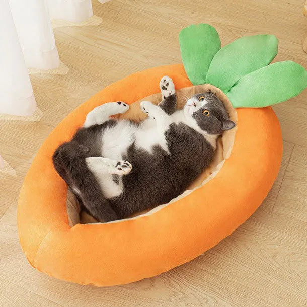 Carrot cartoon design removable washable pet mattress for dogs up to 18 jin with double-sided cover