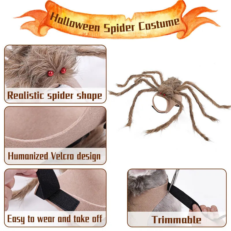 Halloween pet costume with big spider design on dog back, showing grey colour option with eight leg extensions