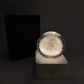 Small 8cm tall desktop night light with a preserved dandelion and sunflower specimen inside.