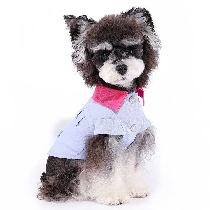 Blue mesh dog vest with a D-ring on the back, sized for a small dog.