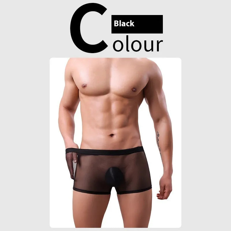 Men's low-waist mesh boxer briefs in black, made from breathable polyester fabric for summer