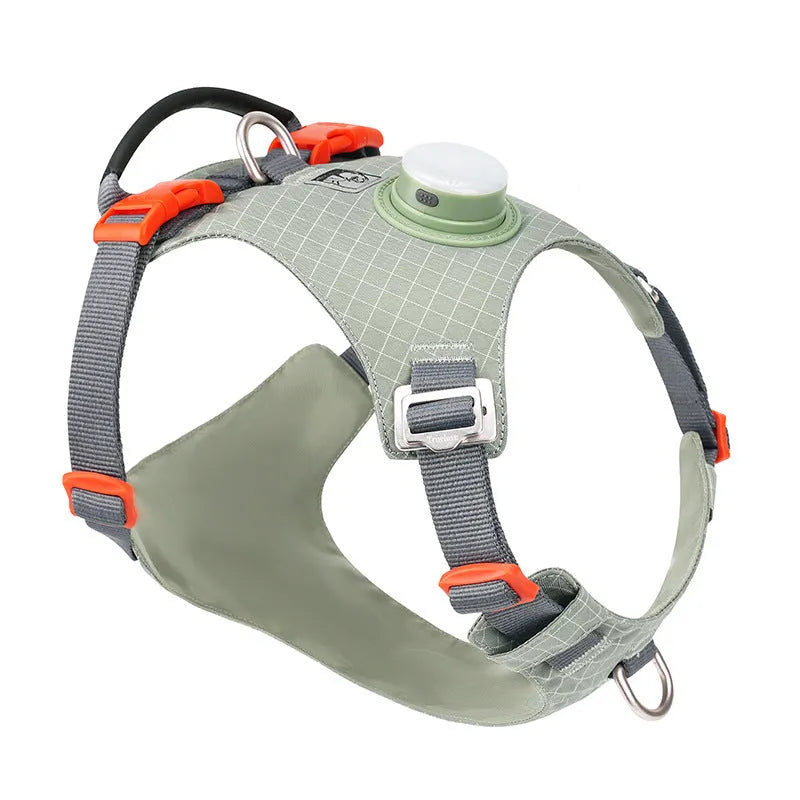 Nylon dog chest harness with integrated LED light shown in multiple colours including black, blue, and light purple.