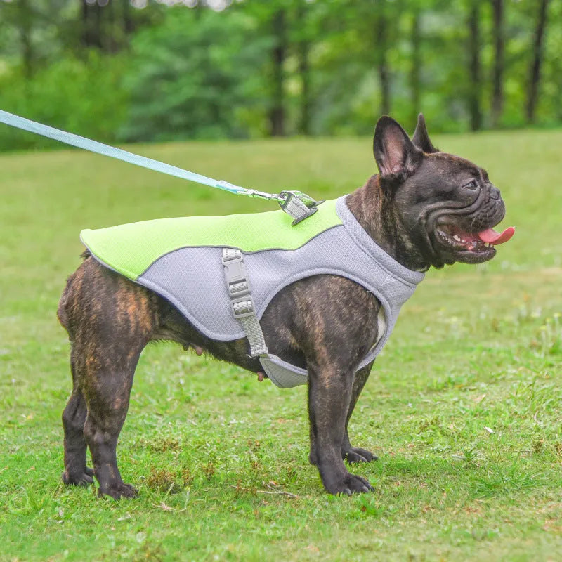Orange dog cooling vest on a dog showing layered construction and adjustable fit