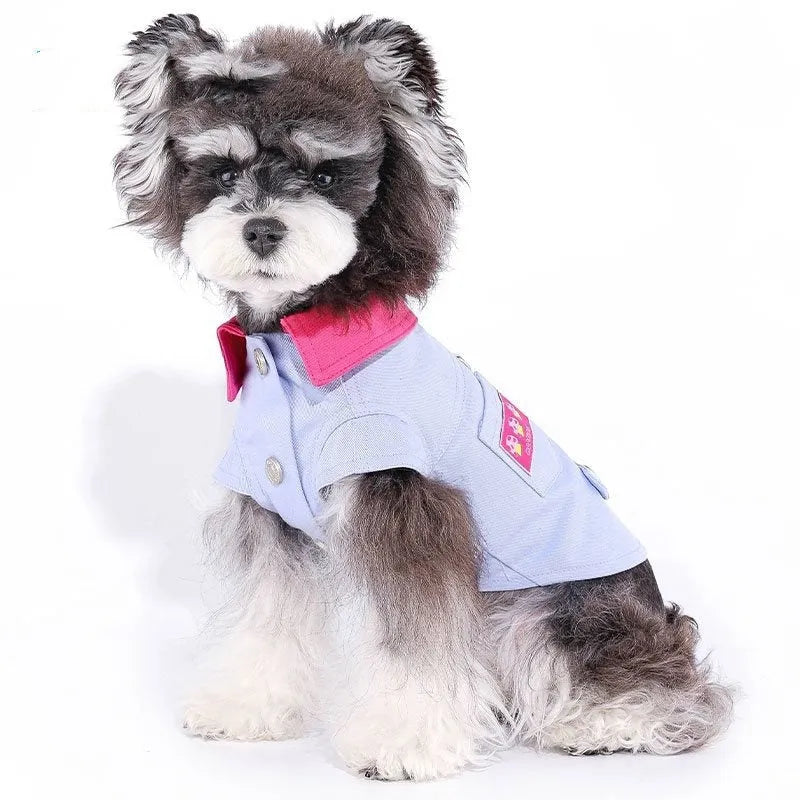 Blue mesh dog vest with a D-ring on the back, sized for a small dog.