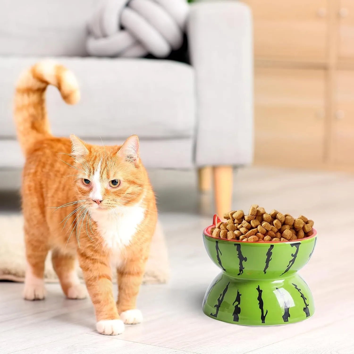 Ceramic raised cat bowl with tilted design, 5-inch height, and patterned surface for indoor pets