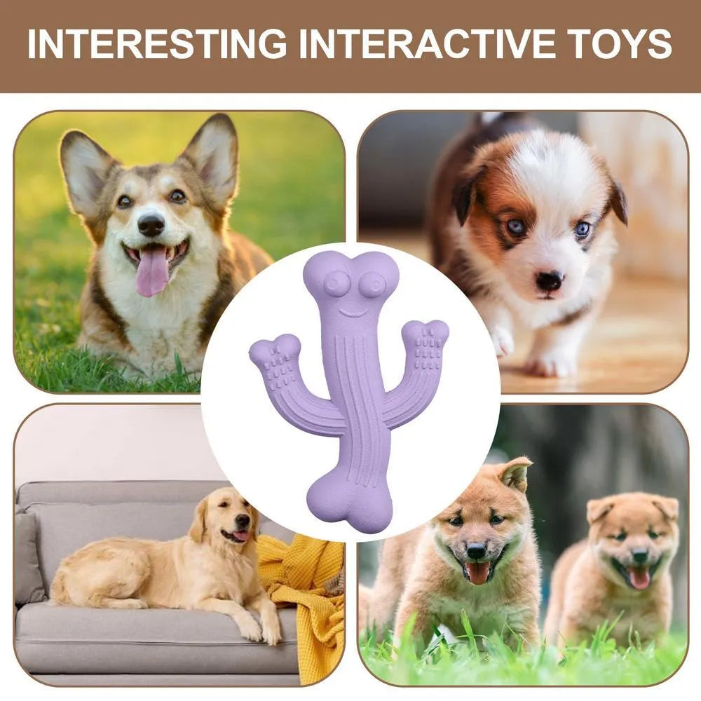 Beige, blue, or purple cactus-shaped dog chew toy made from bamboo fibre and rubber shown in small and large sizes.