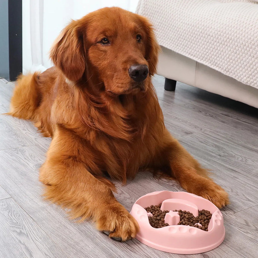 Moon star wings design slow feed dog bowl in blue, shown on a floor.