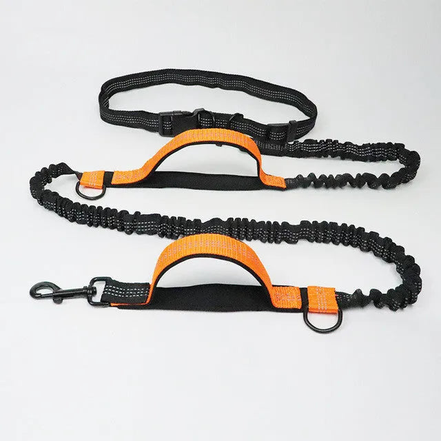 Adjustable nylon dog leash in fluorescent green, orange, and light blue, one size, for walking and jogging