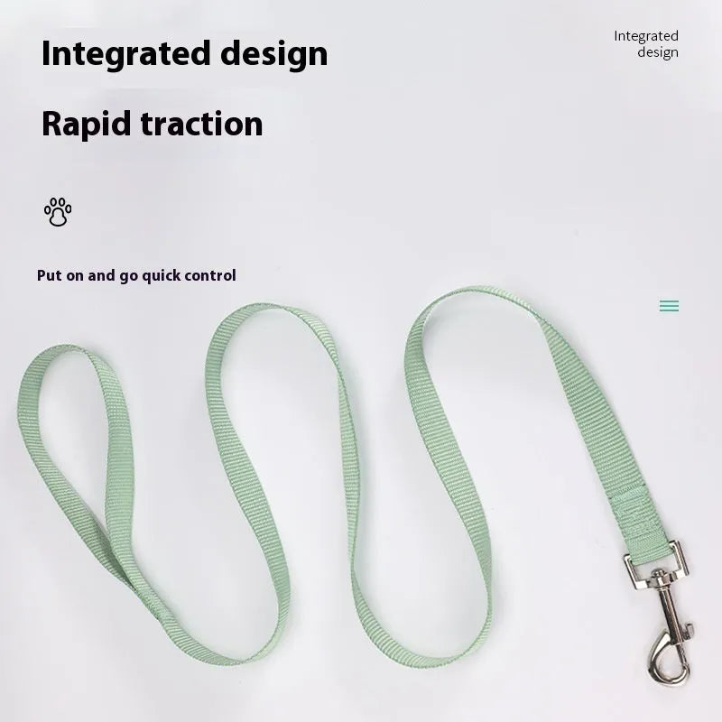 Solid colour dog hand holding rope showing 120cm length with hand loop and width options from 1.0cm to 2.5cm in twelve colour choices