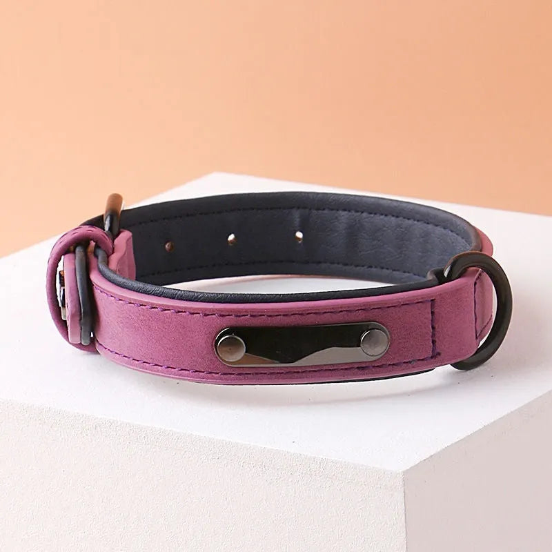 Adjustable dog collar with double-layer thickening in purple colour showing buckle and material texture