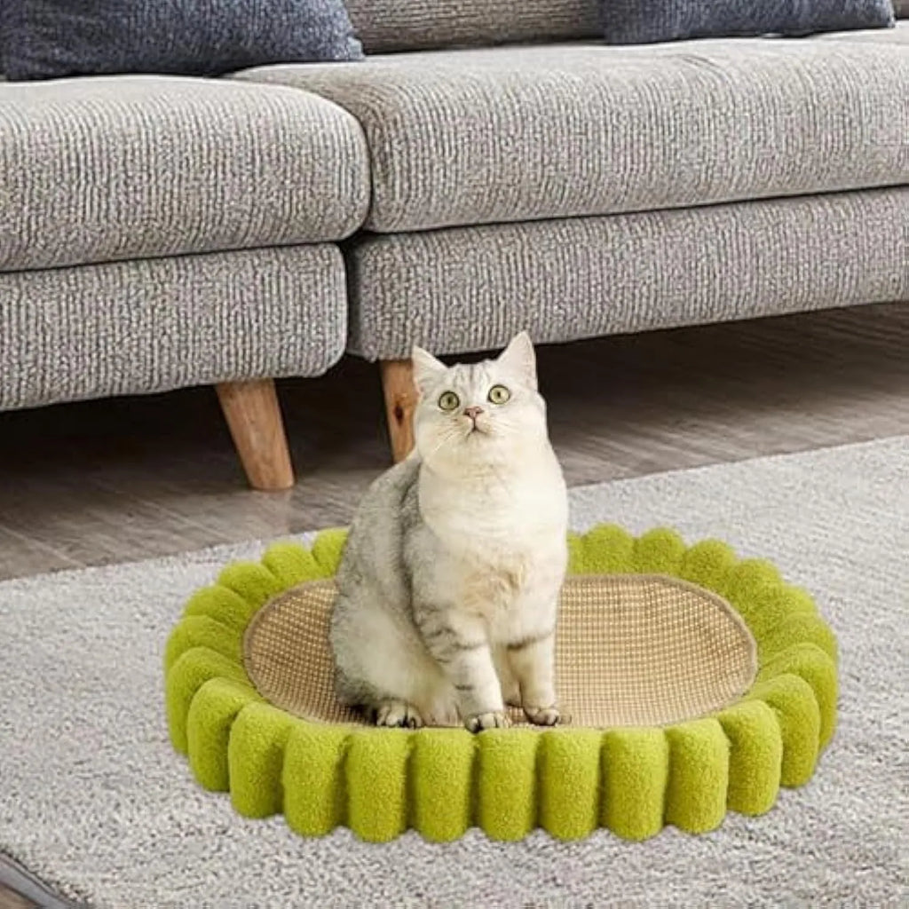 Green oval cat scratch pad bowl with sisal scratching surface measuring 65cm by 42cm