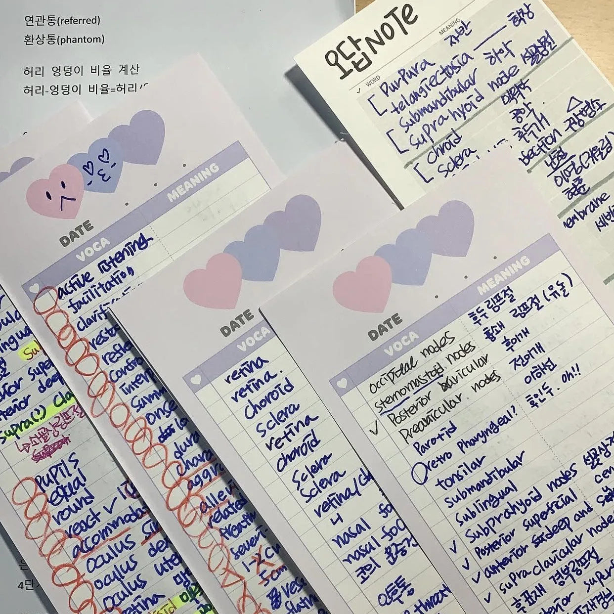 B5 half notepad with double-sided printing in blue cover, showing 9.1 x 25.7cm size and 30 sheets
