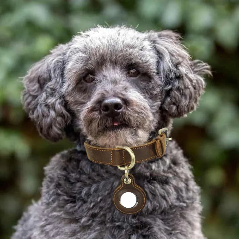 Brown handmade genuine cowhide leather dog collar with lanyard, shown in retro style.