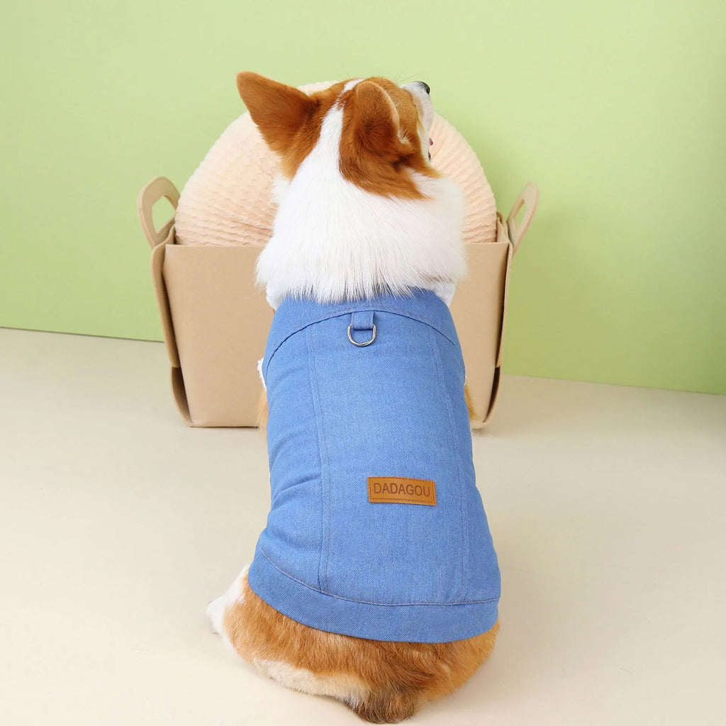 Blue denim cotton coat for a corgi dog, shown in dark and light blue colour options.
