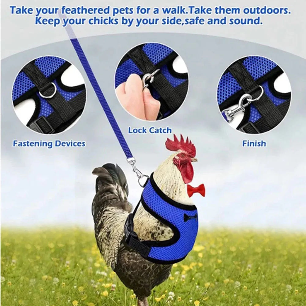 Pet chicken vest harness and belt collar set with traction rope for poultry handling in multiple colours and sizes
