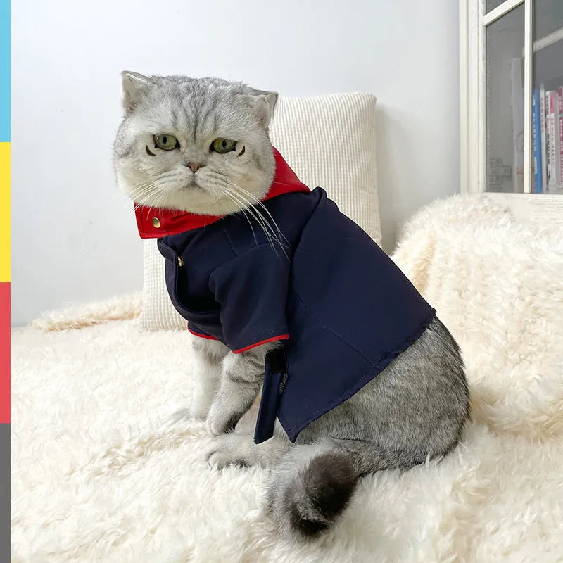 Cat wearing tiger staff yuren coloured hoodie with adjustable neck opening for photography