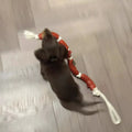 Brown pet hand rope toy with sausage segments, total length 108cm, for cats and dogs.