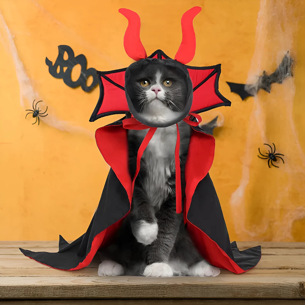 Black polyester vampire cloak and hat Halloween costume for pets on small dog