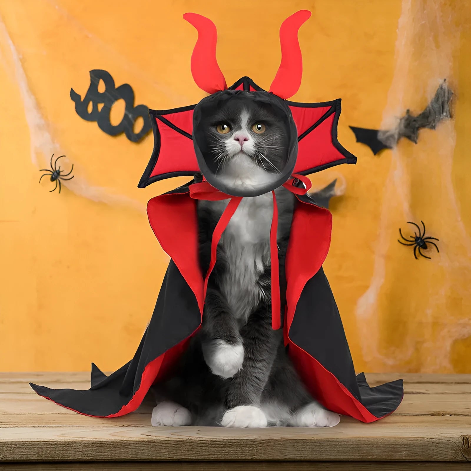 Black polyester vampire cloak and hat Halloween costume for pets on small dog