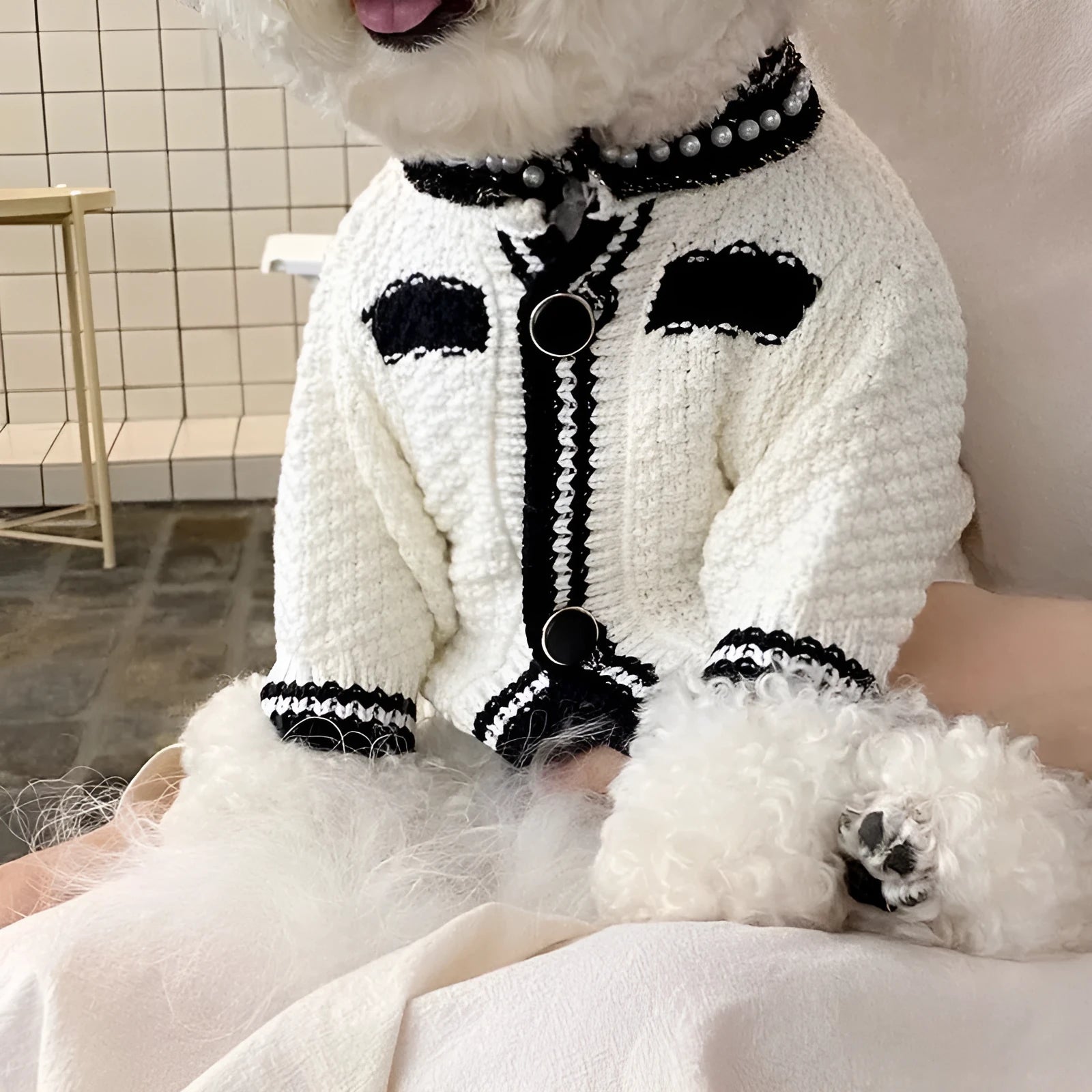 Korean style puppy clothes pearl collar sweater in black or white with princess design for dogs 0.50 kg to 7.50 kg