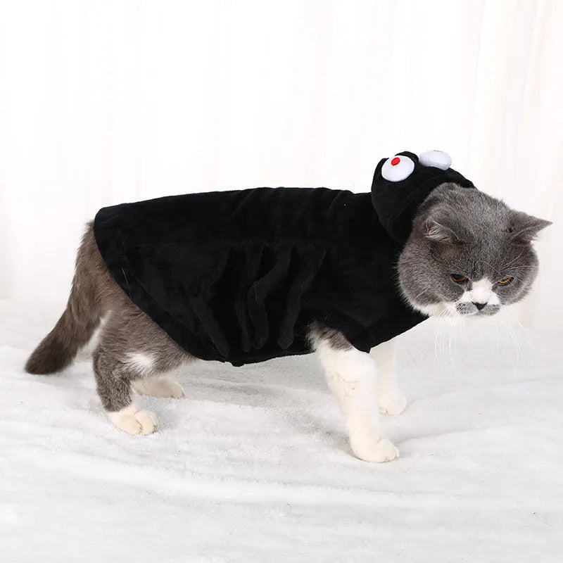 Halloween spider costume for a dog on a white background