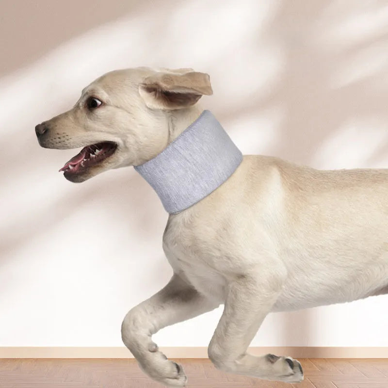 Soft grey cat cone collar for post-surgery recovery showing neck brace design