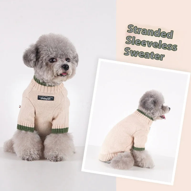 Contrast colour two-leg wool pet sweater for a small dog in Crown Blue.