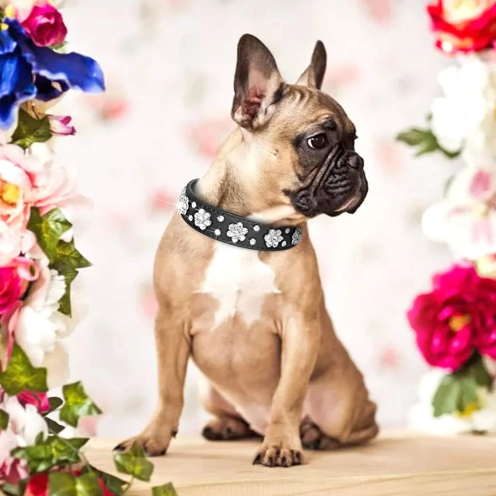 Black PU leather dog collar with rhinestone flower pattern and studded design, adjustable with metal eyelets