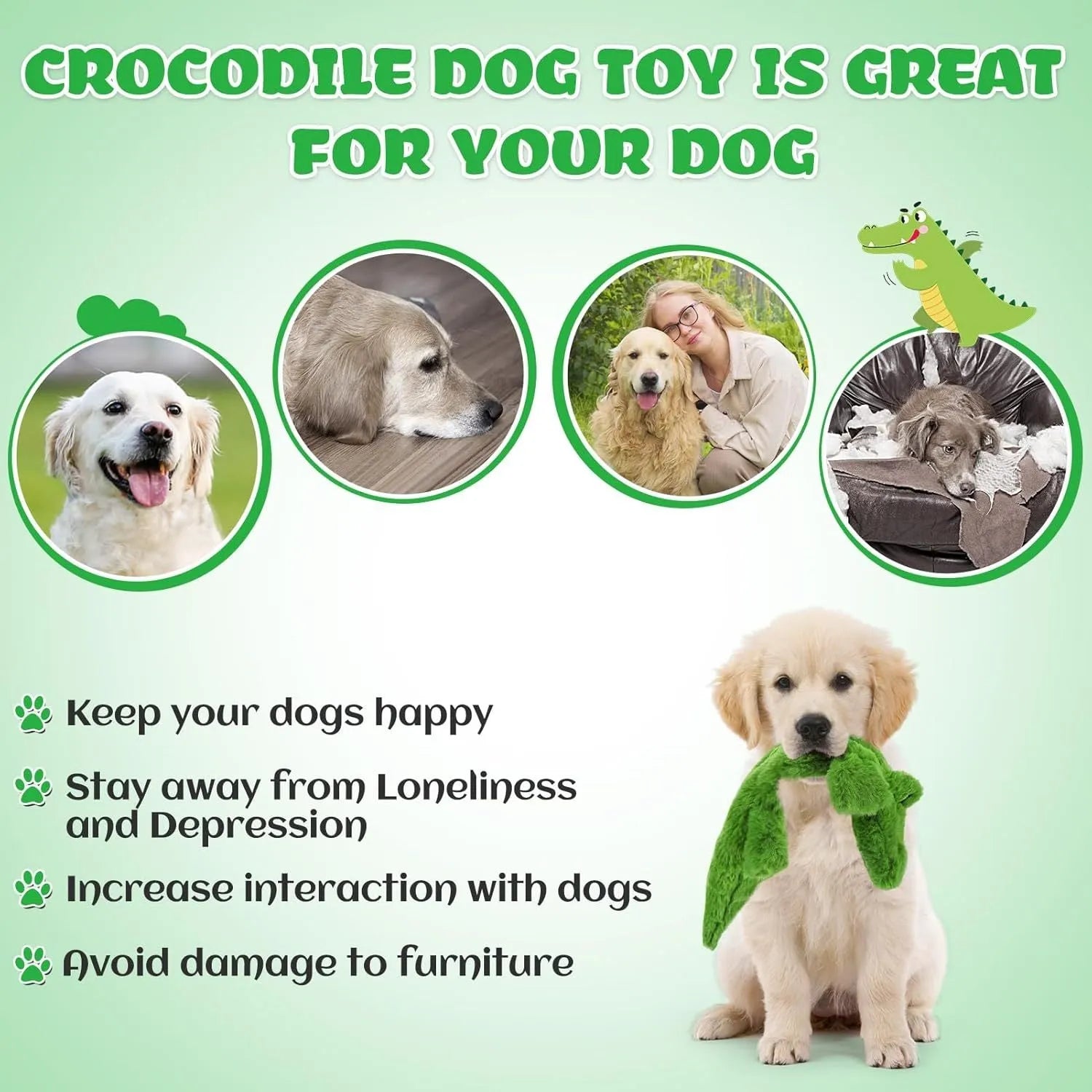Green crocodile dog toy with no stuffing, 20cm length, for small medium aggressive chewers